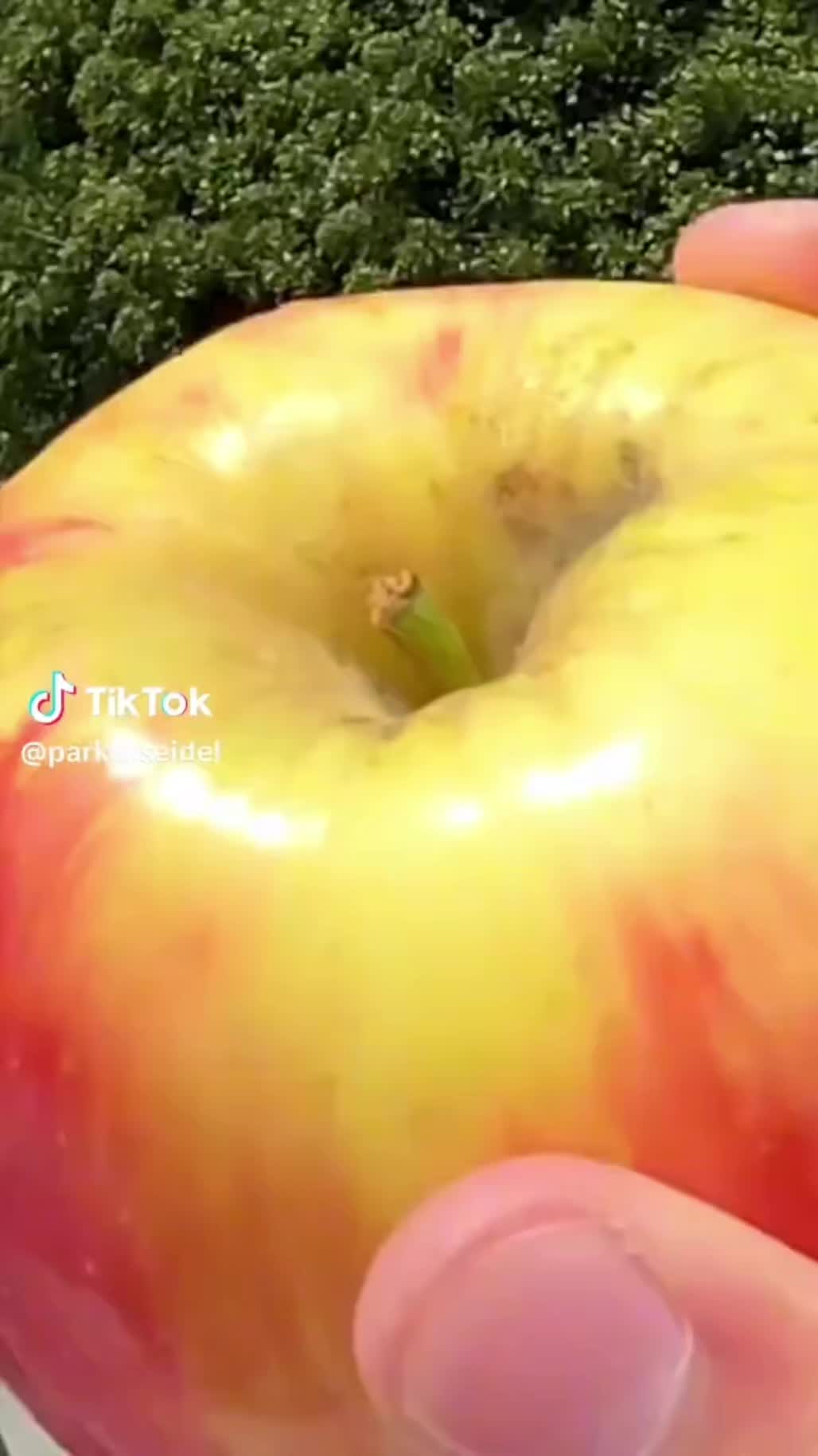 @pianoKP