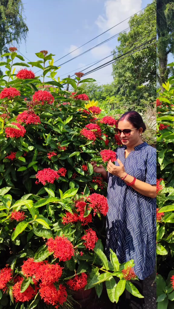 @Sunita Joshi