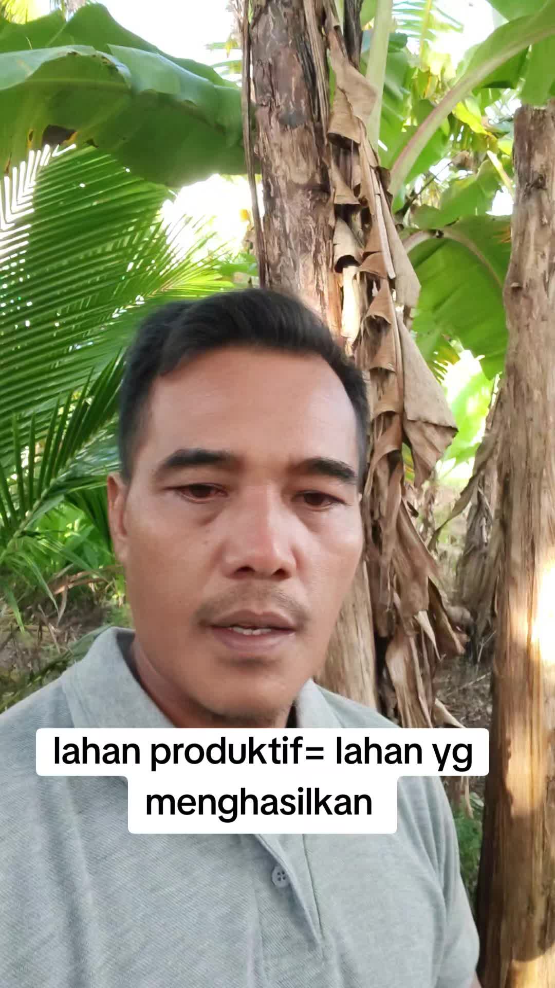 @petani kecil ujung tapsel