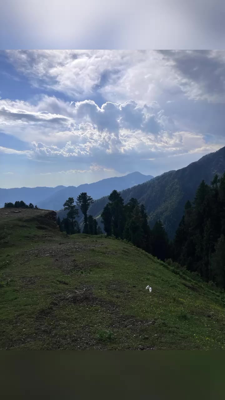 @mozammilhussain416
