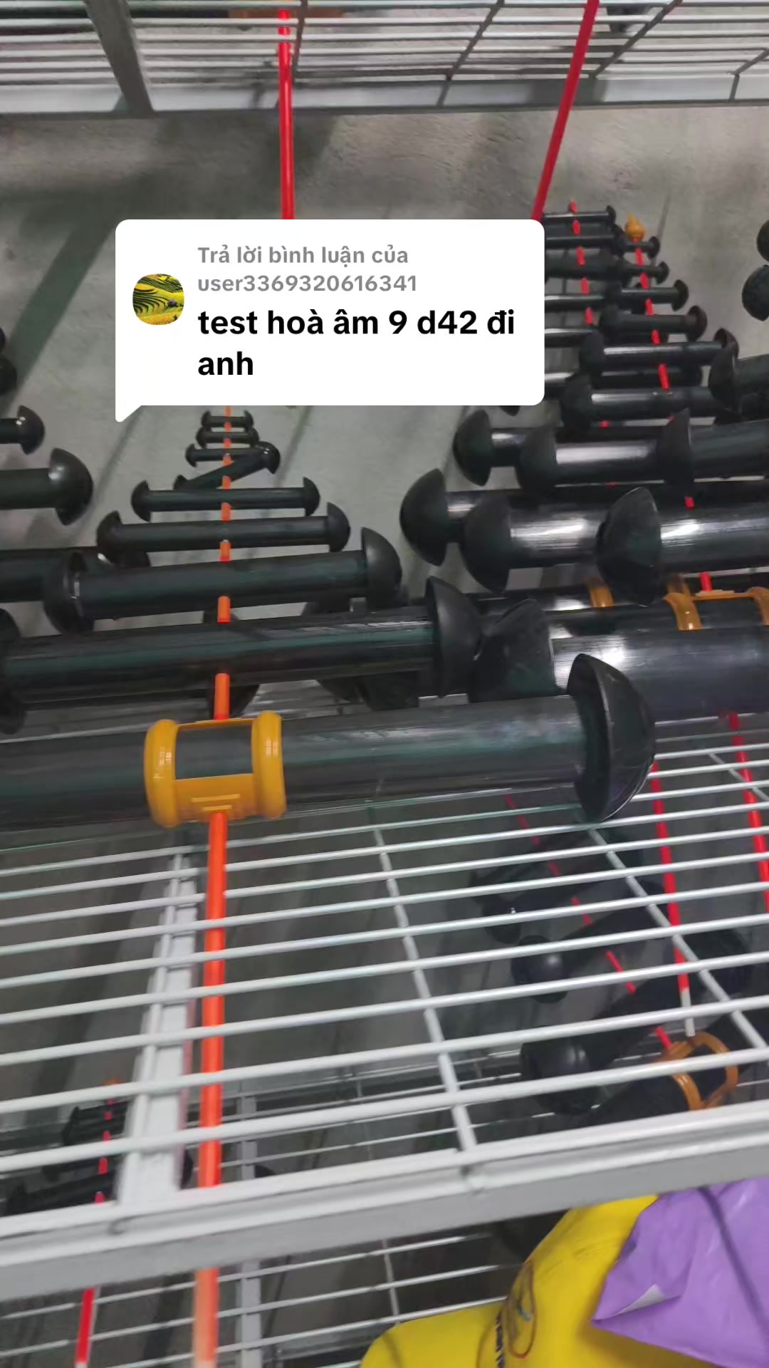 @Sáo Diều Huân Nguyễn
