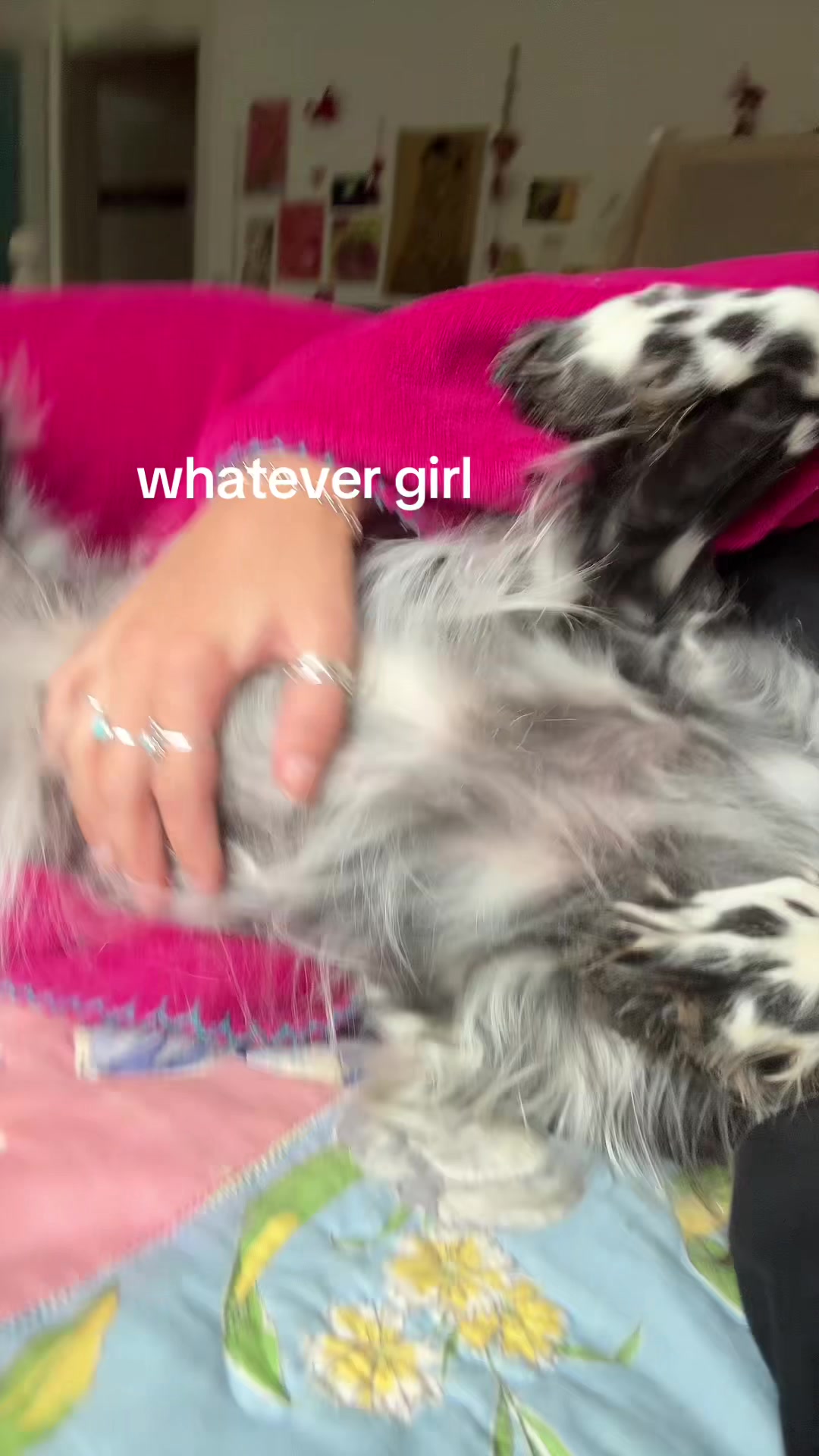 @carleeenaa