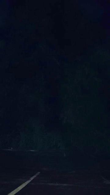 @Kᥲdᥱᥒᥴᥱ🪷🌟