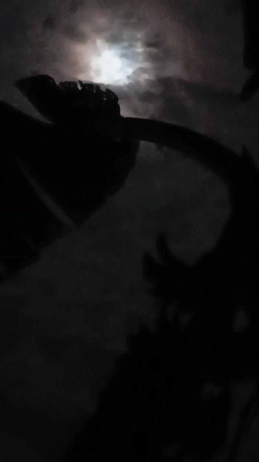 @𝐂𝐡𝐨𝐜𝐨𝐥𝐚𝐭𝐞 𝐏𝐚𝐠𝐥𝐢