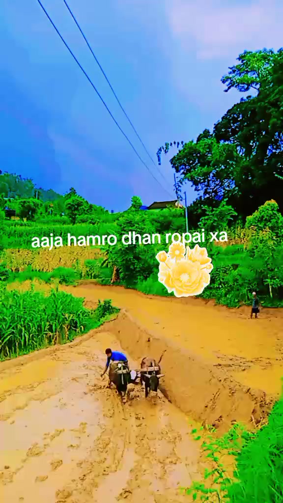 @kushum Darnal