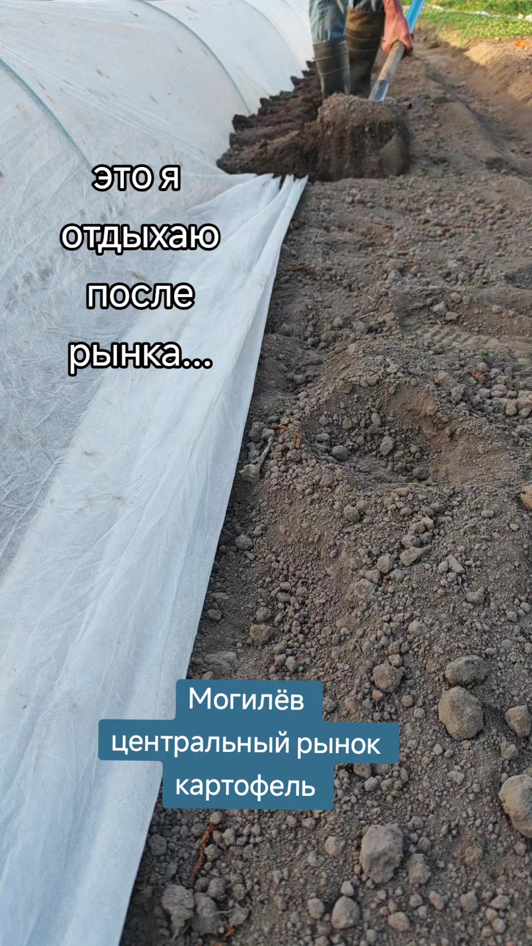 @Картофель Могилёв