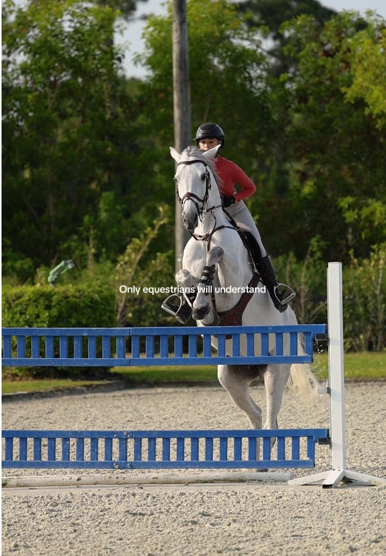 @Equisite Elements of Style
