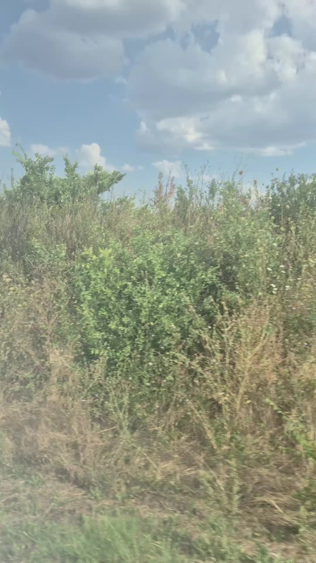 @_Gurbet_