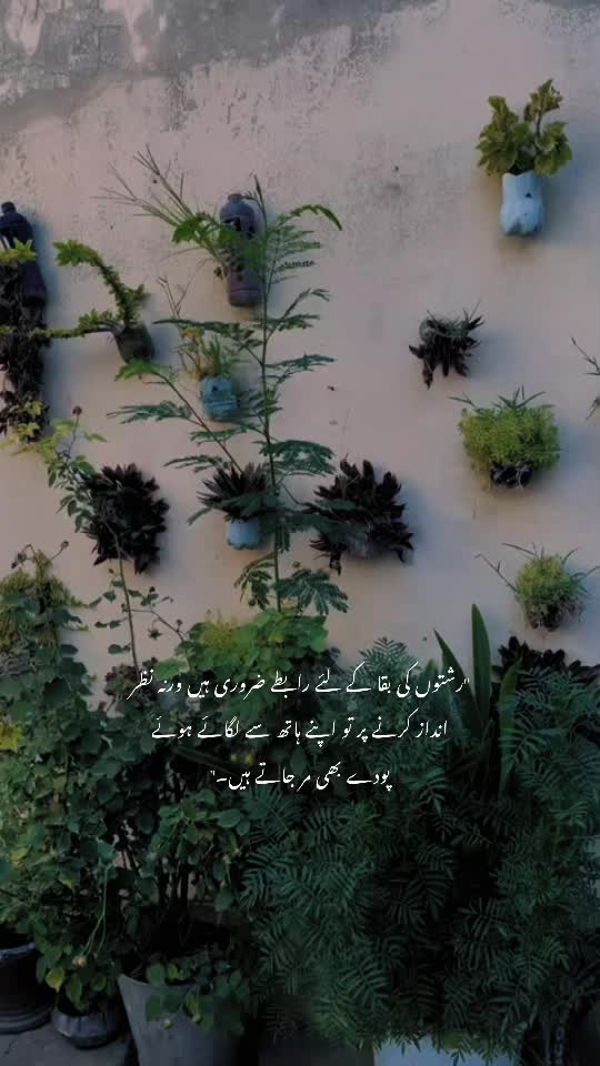 @راجہ خیام ۔💔