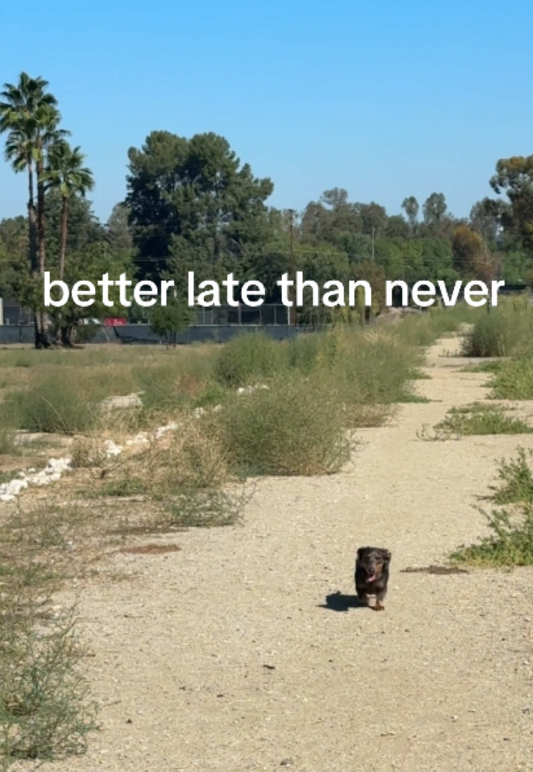 @Milo + Mo