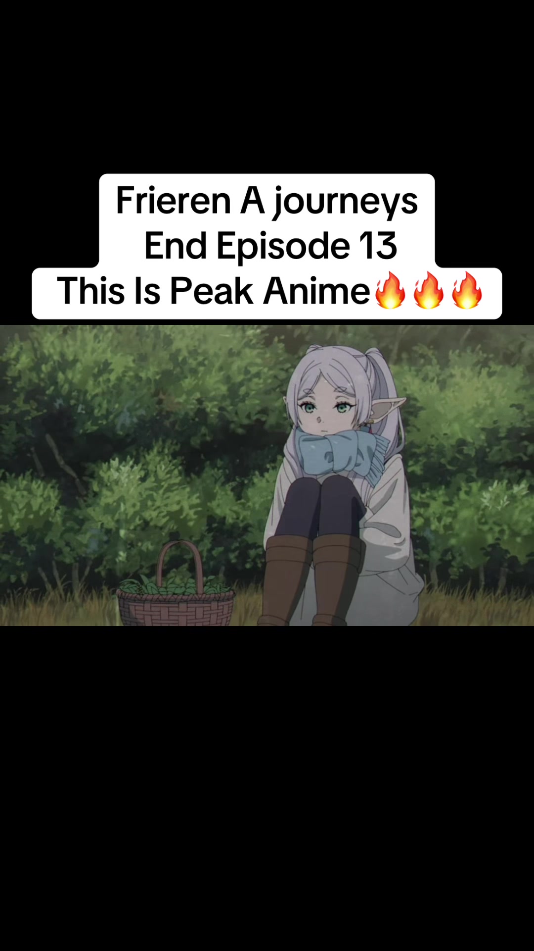 @vanlector