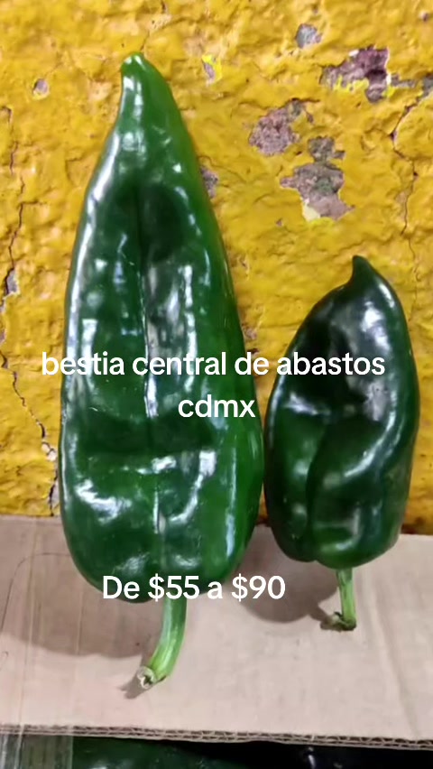 @Bestia central CDMX