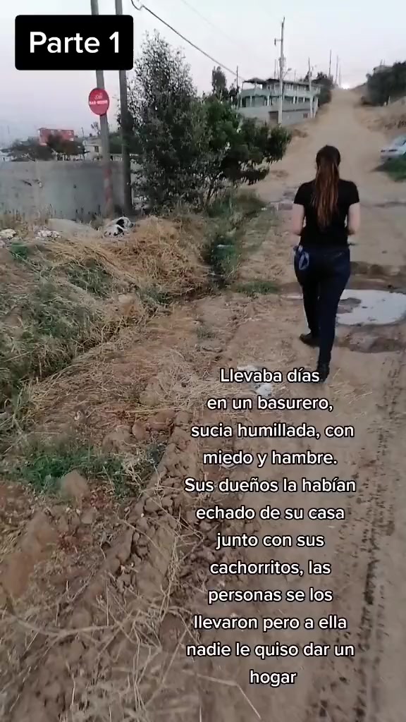 @Gloria Arellano Ramirez