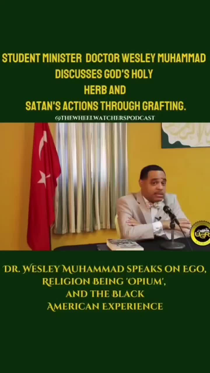 @Brother DMX