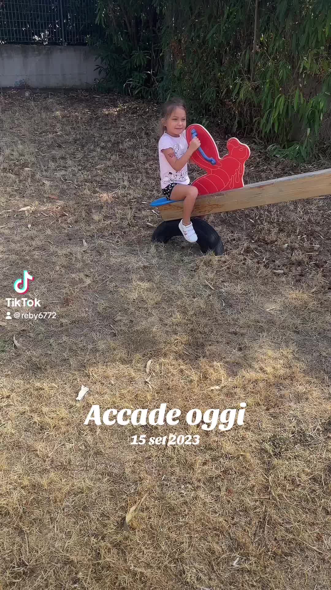 @rebyMirzea