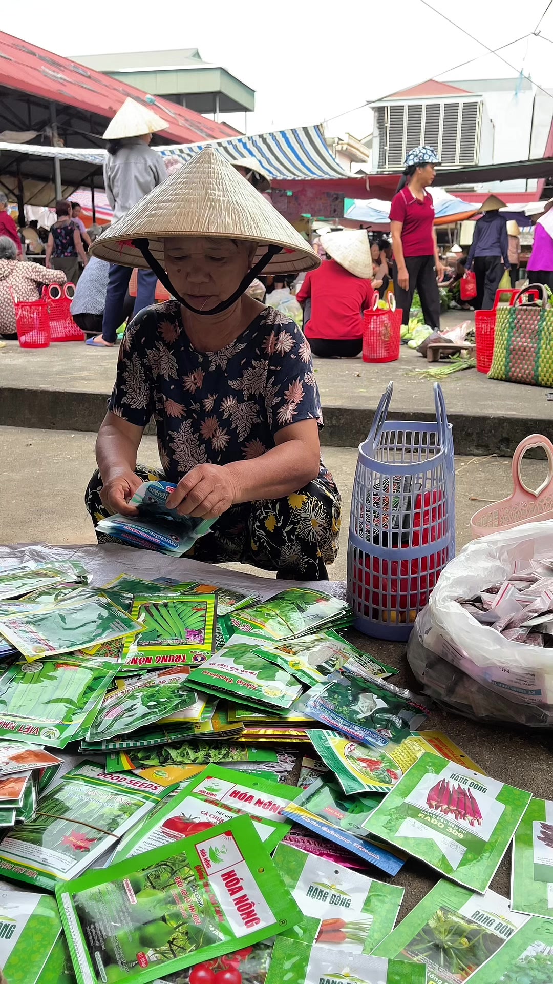 @Bán hạt giống
