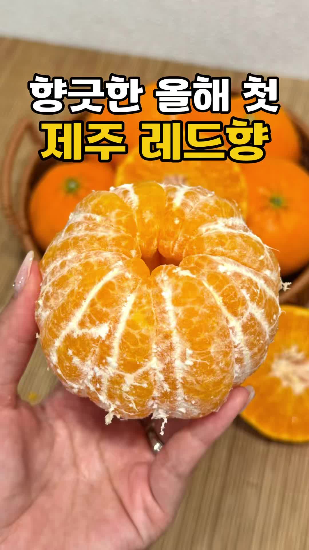 @싱싱햇 - 365일 싱싱한 햇 제철 먹거리