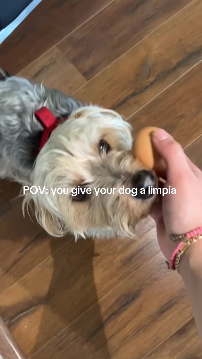 @CoachTovar