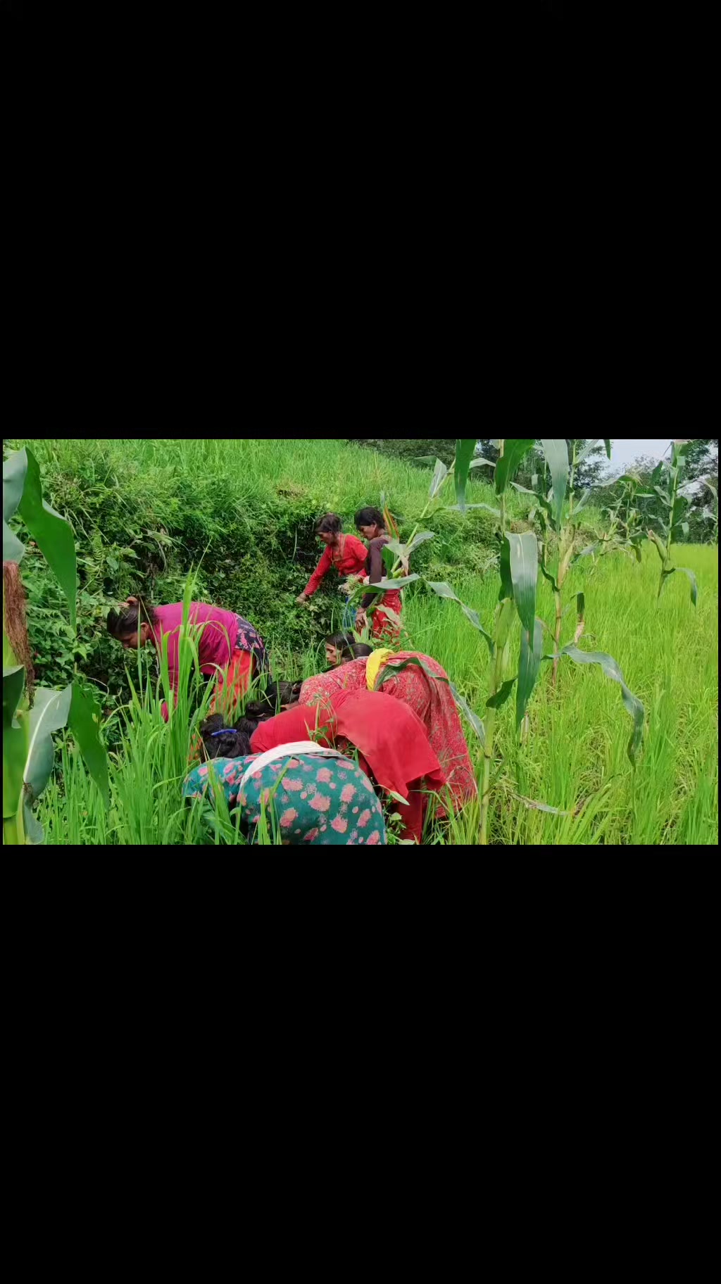 @Bedraj Bhandari