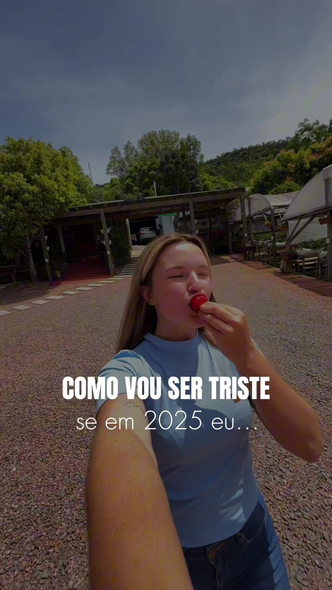 @manuvett