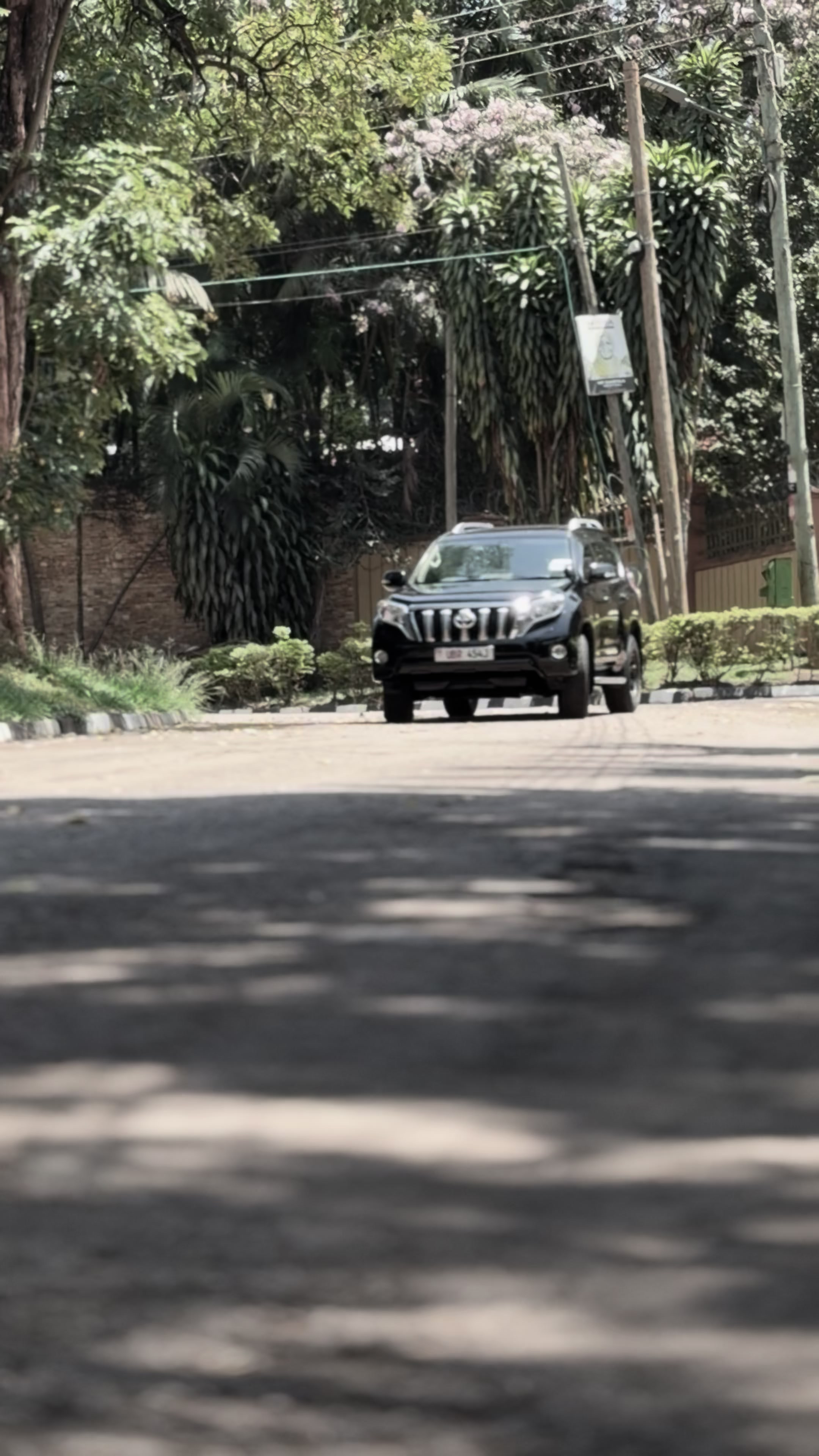 @Mesh autos