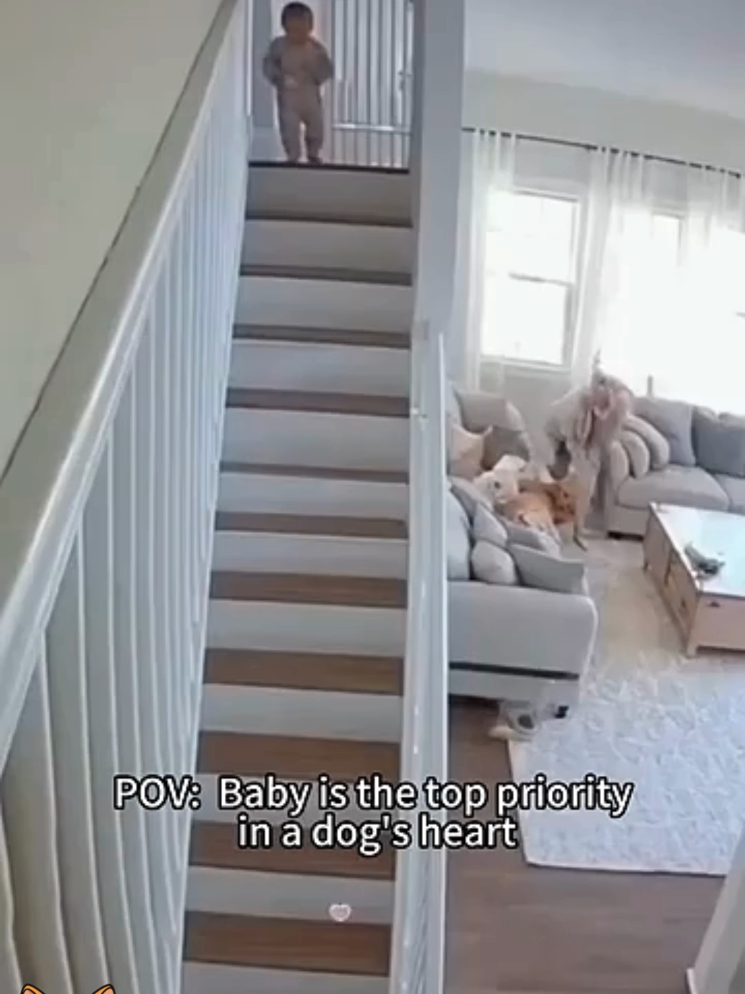 @Evolveg