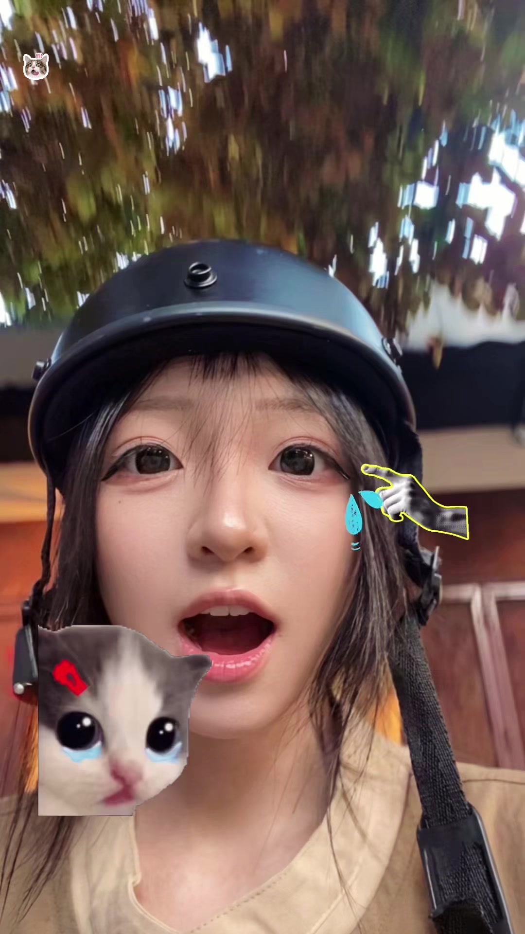 @socoo