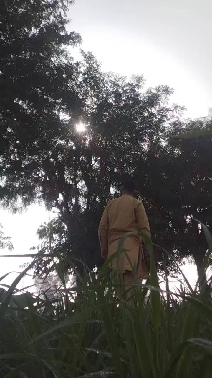 @𝙕i𝖘𝖍u🌸🥀