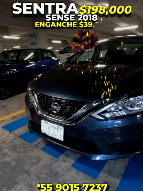 @V Seccion