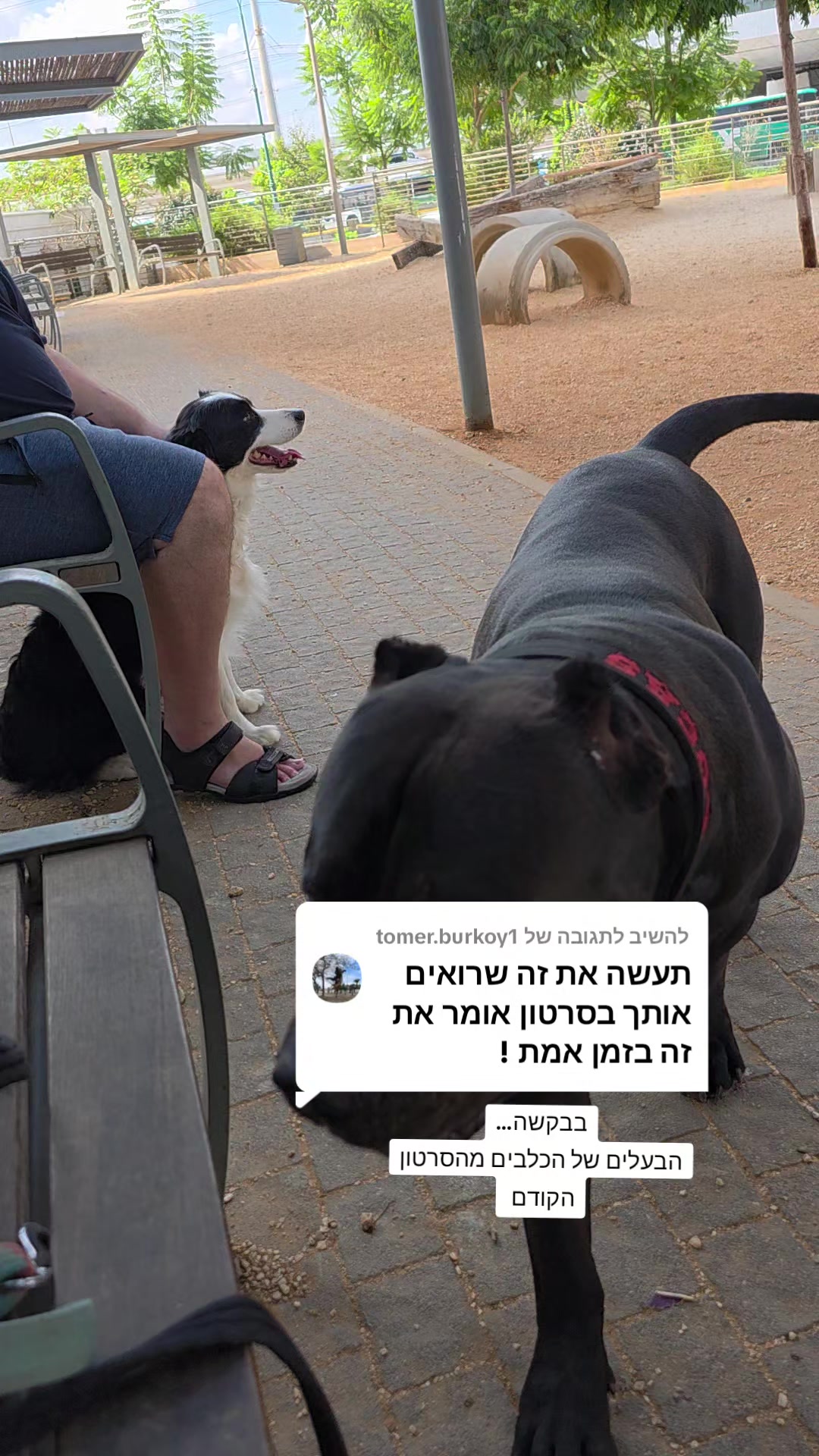 @מידן כחלון מנהיג הלהקה