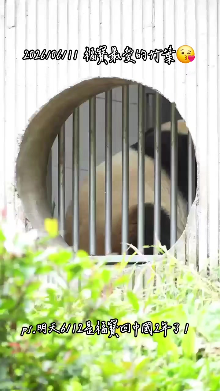 @福寶需要愛的抱抱