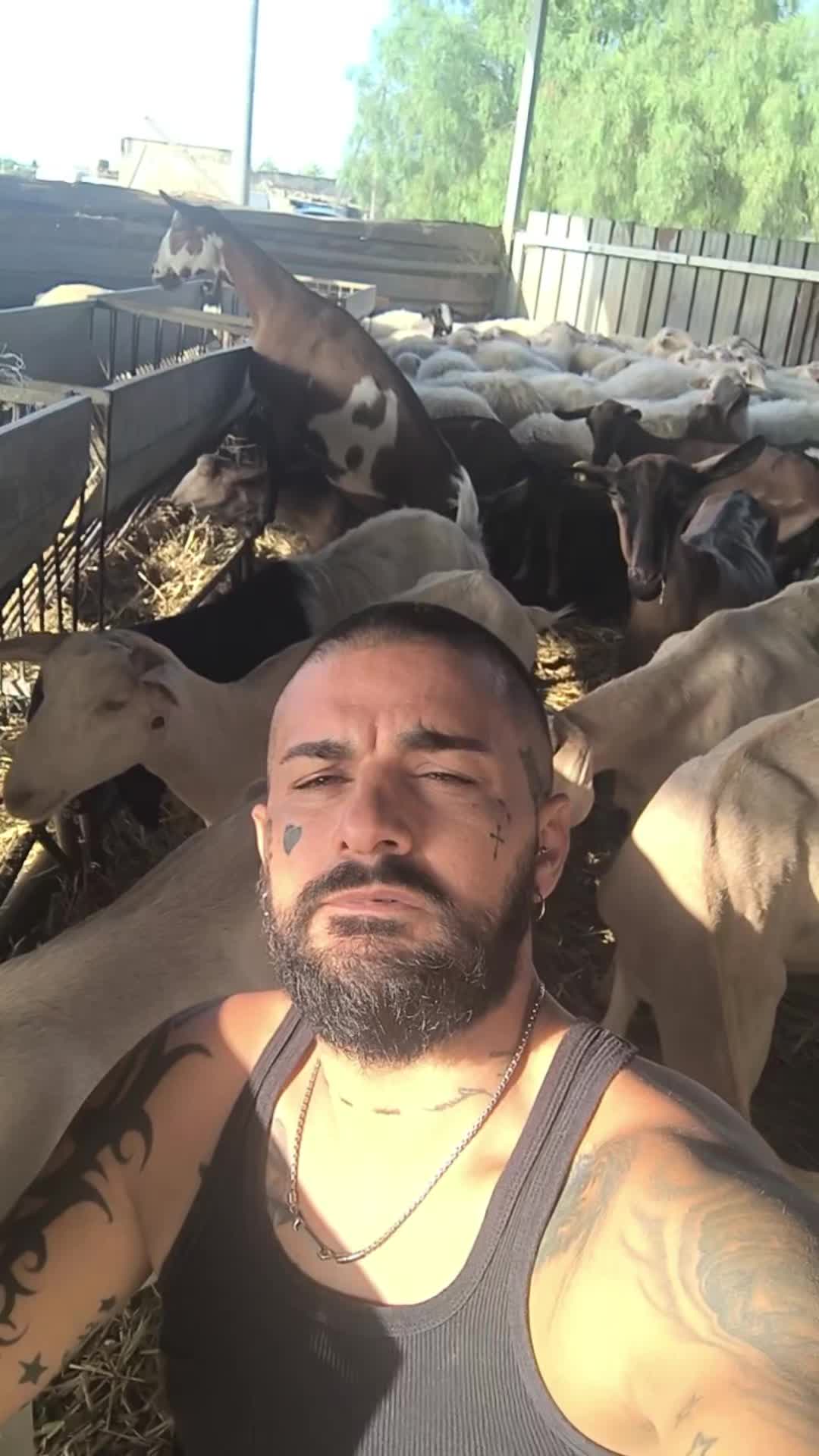 @Danieledipalmo