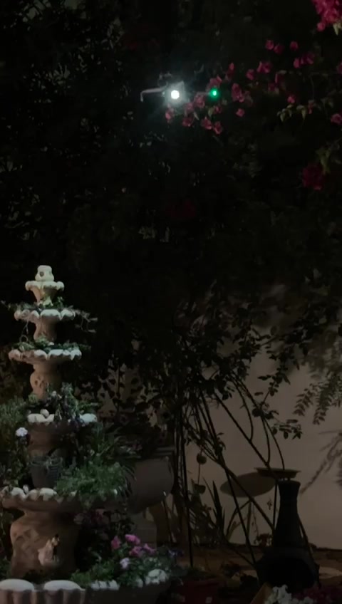 @ياسمين هير ستايل