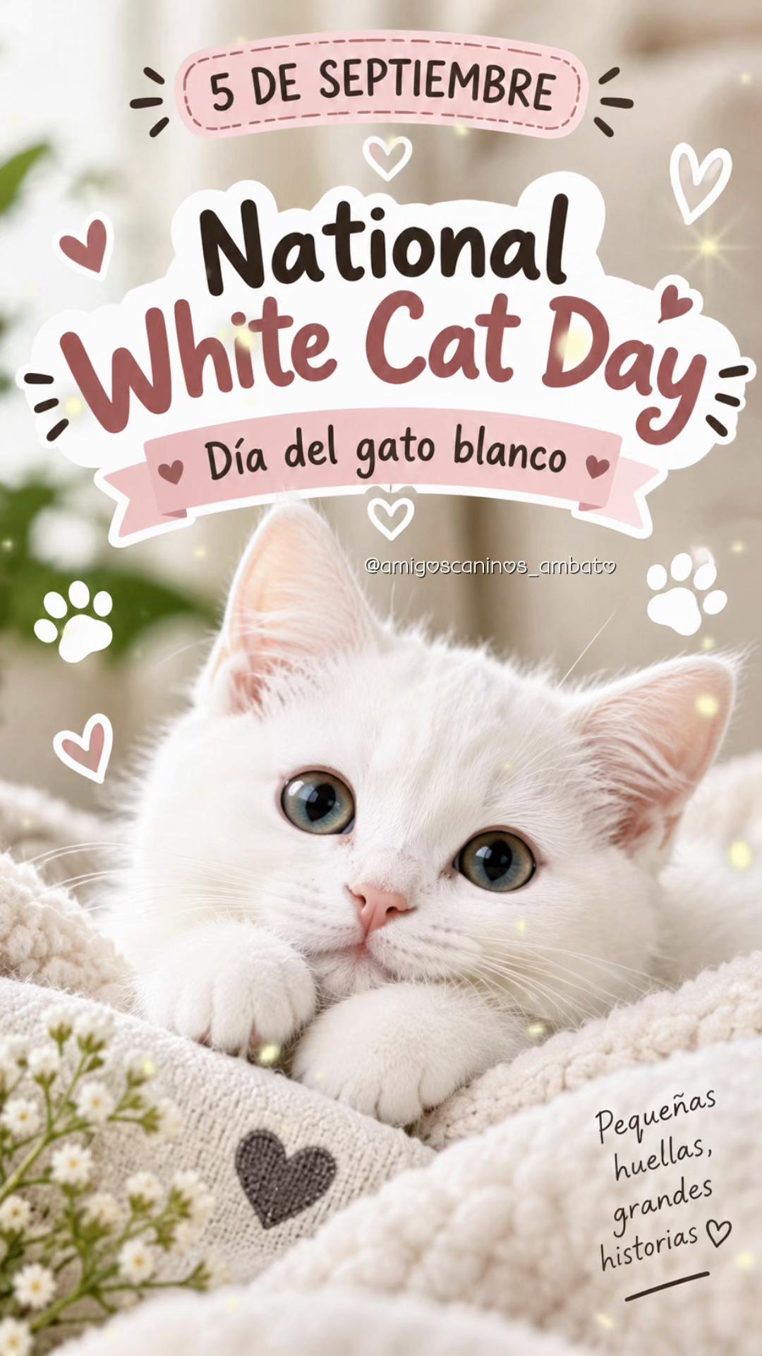 @Amigoscaninos_Ambato