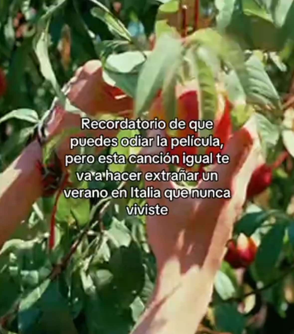 @Rebzyyx