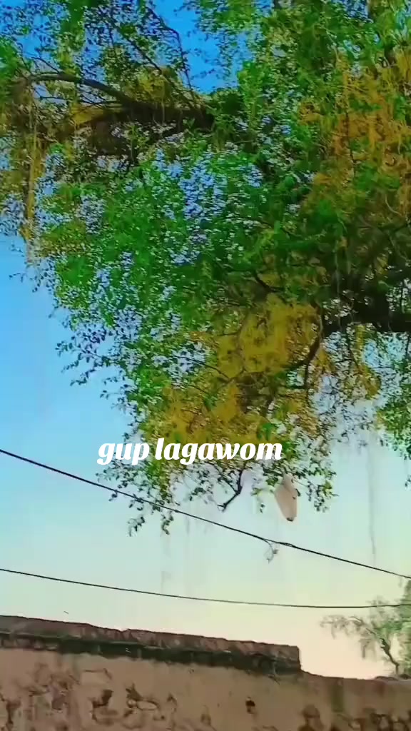 @𝑴𝑼𝑺𝑺𝑨𝑾𝑬𝑹 𝑲𝑯𝑨𝑵