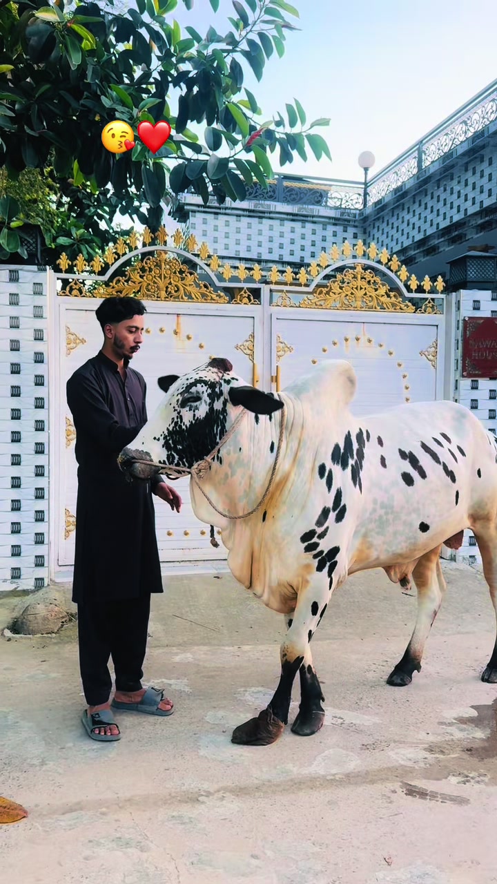 @NAWABi