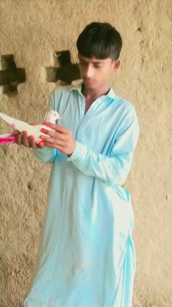 @❤️❤️❤️❤️❤️❤️❤️❤️❤️🌹🌹🌹🌹🌹👌
