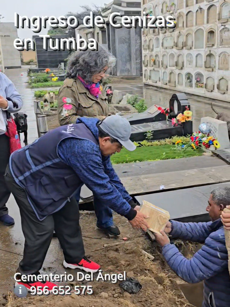 @Vida Perpetua Perú