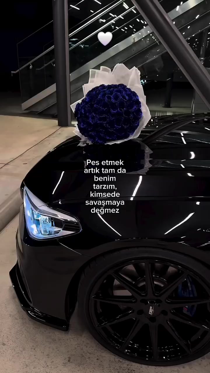 @𝓛𝓮𝓸𝓹𝓪𝓻 🐆