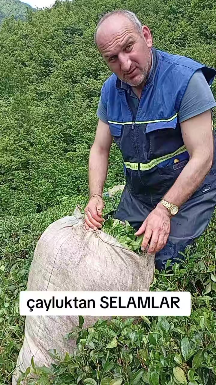@Efsane Laz 53.08