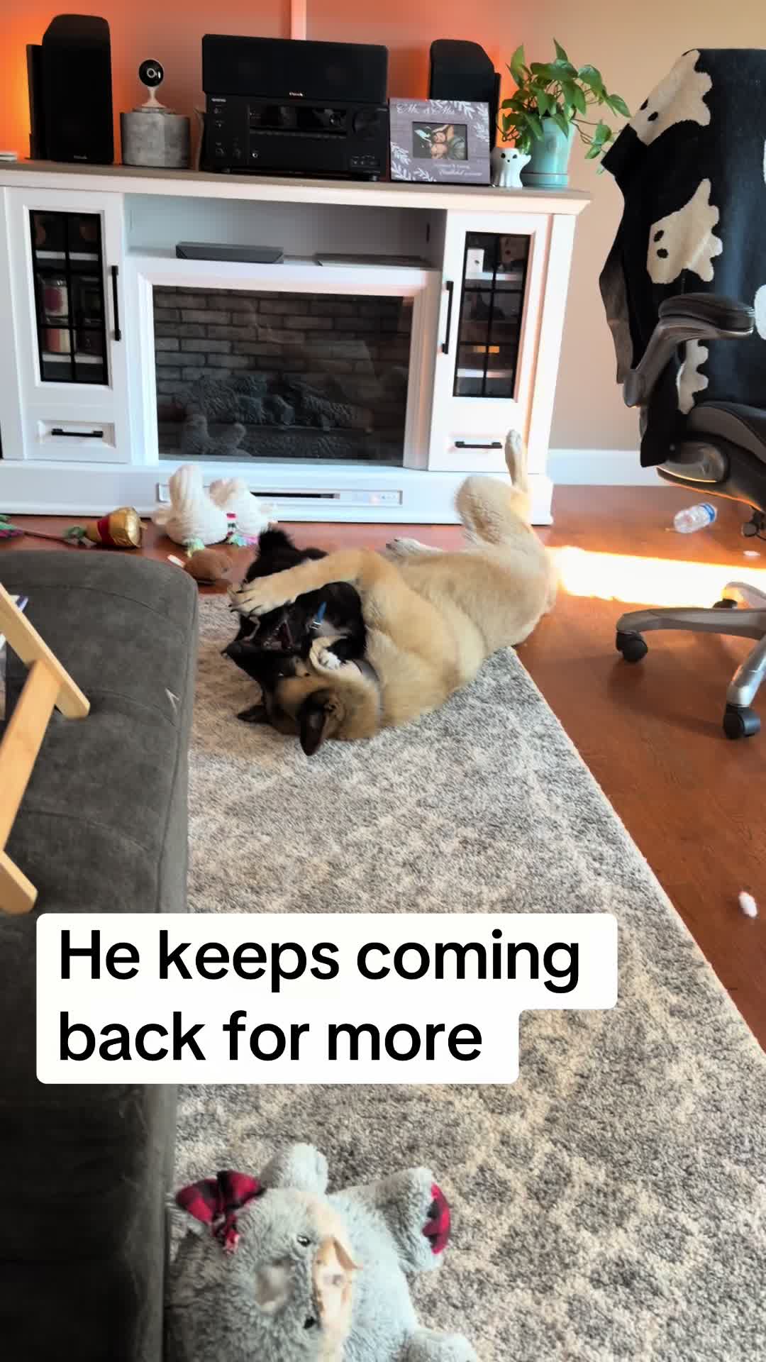 @sarahschark