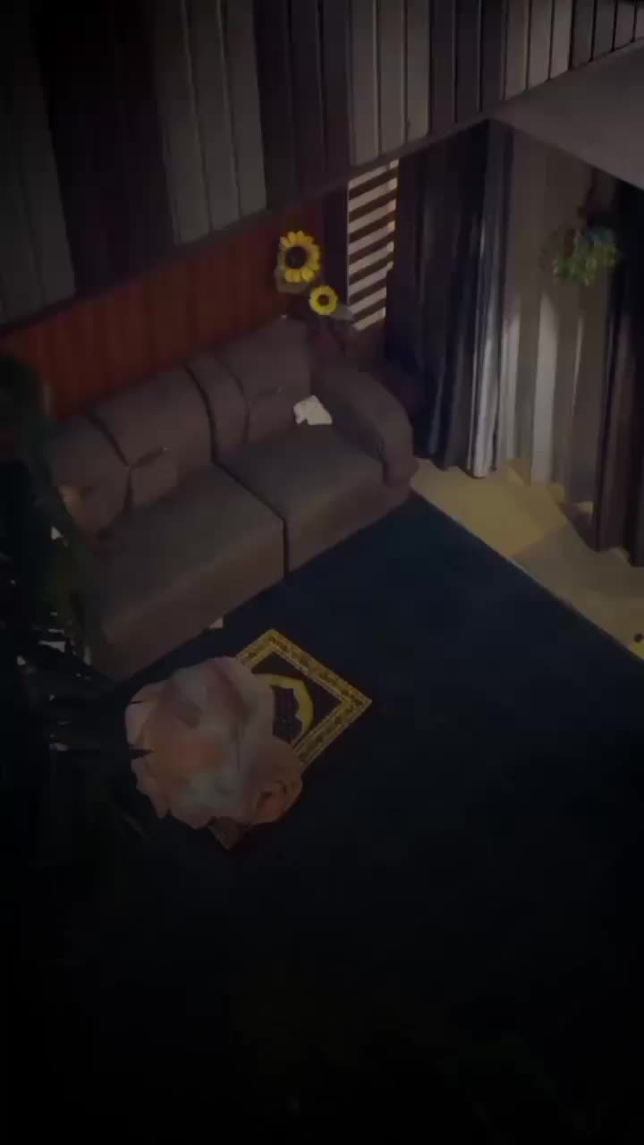 @𝗠𝗔𝗔