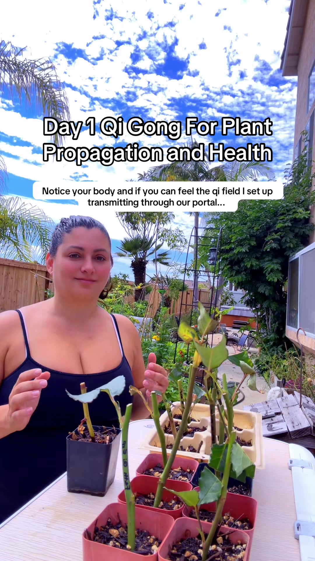 @Dr Lauren Pichard/Psychologist