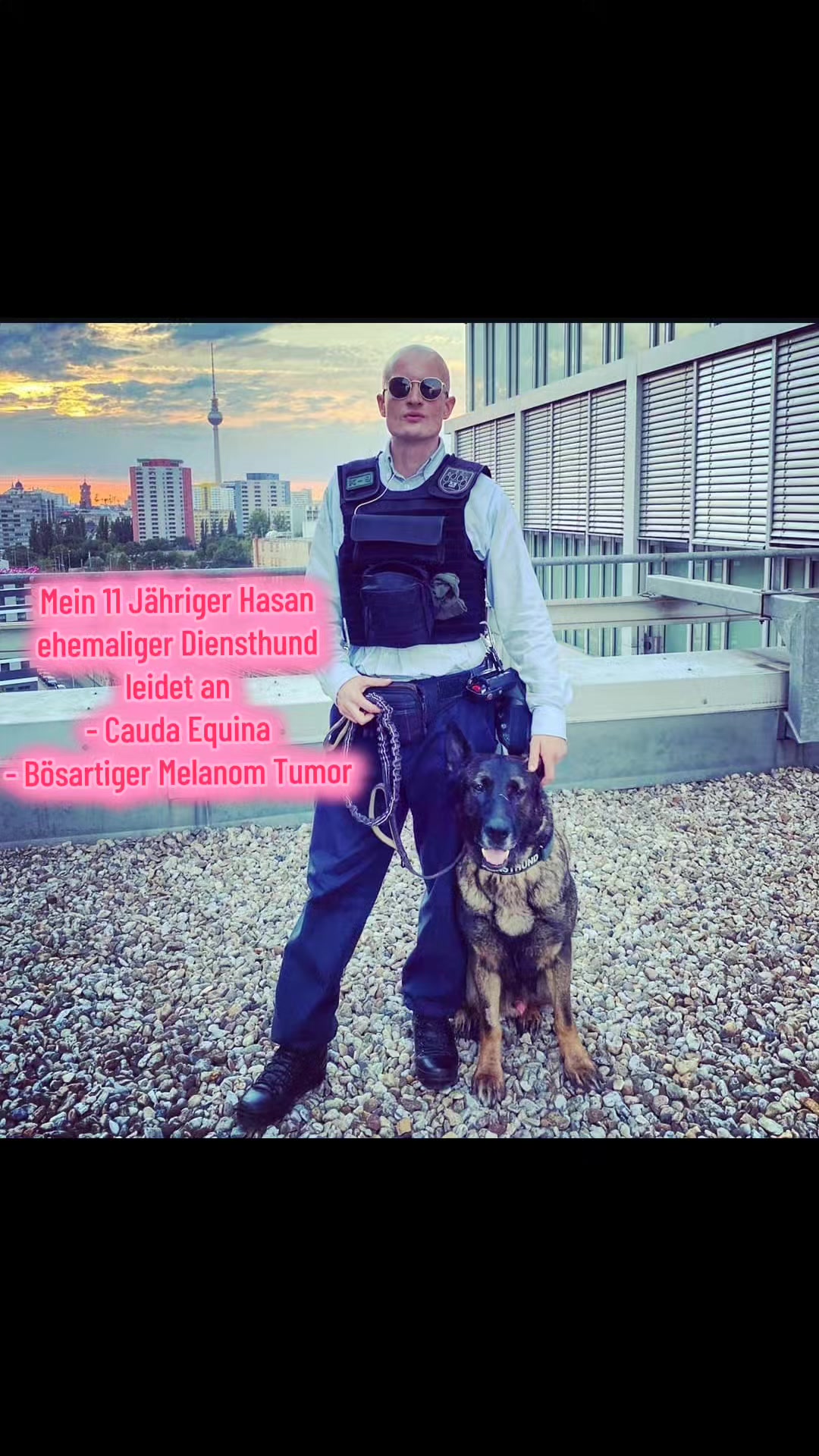 @K9 Palatinus-Unit☑️