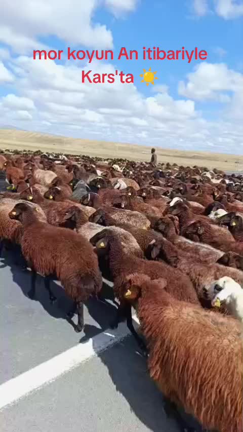 @FERHAT ÇUKU 76☀️