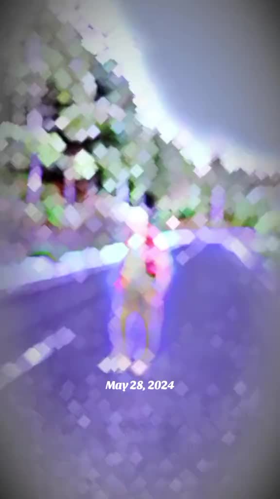 @🇻🇳𝐋&ecirc;Ꮿᵅ𝐧ŏ_☠️_5⭐