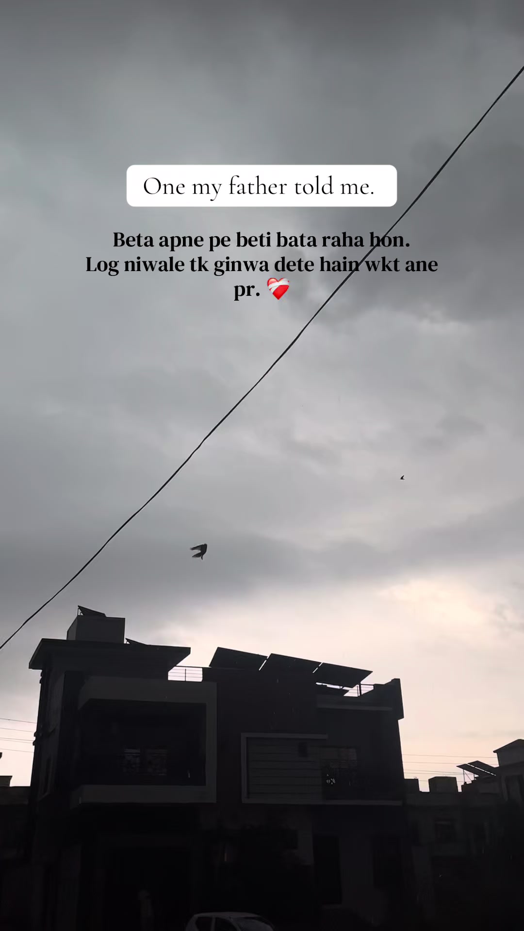 @🌙🐣