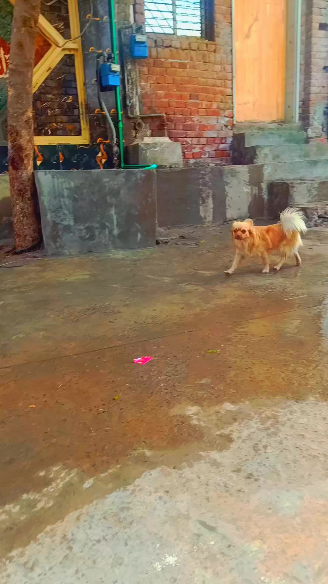@đđ
žđ
ˇđ
°đ
¸đ
ť đ
šđđđ1800