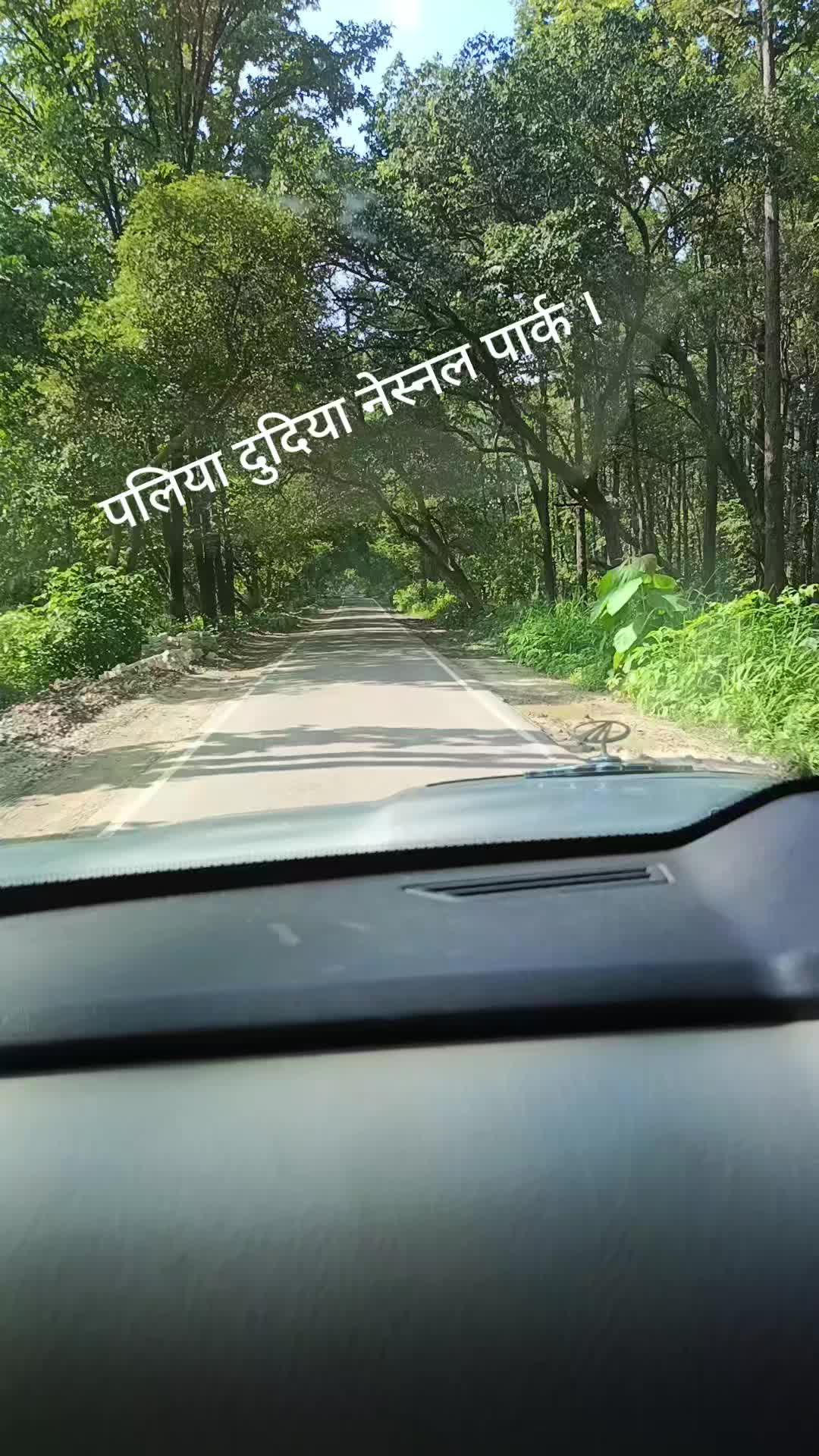@Madhavi Bhatta